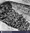 the-bodies-of-the-dead-lie-awaiting-burial-in-a-mass-grave-at-the-D987MY.jpg