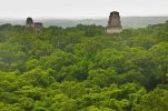structures rain forrest.JPG