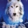 Knightwolf